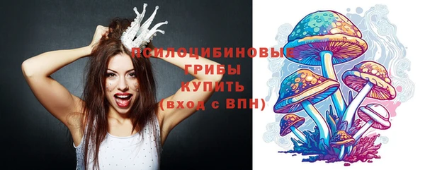 прущий лед Семёнов