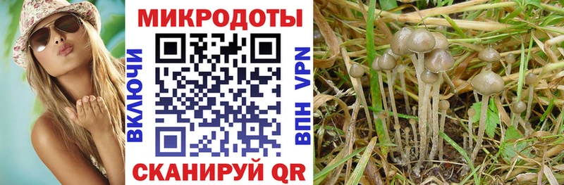 omg ССЫЛКА  Харовск  Галлюциногенные грибы GOLDEN TEACHER 